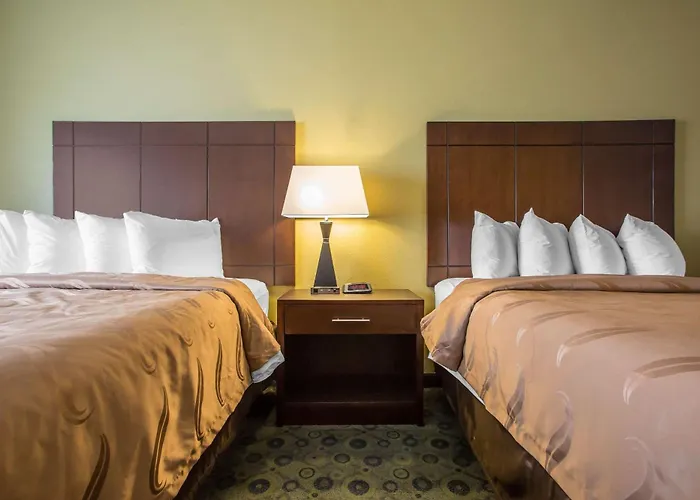 Hotel Quality & I-55 And I-74 4*